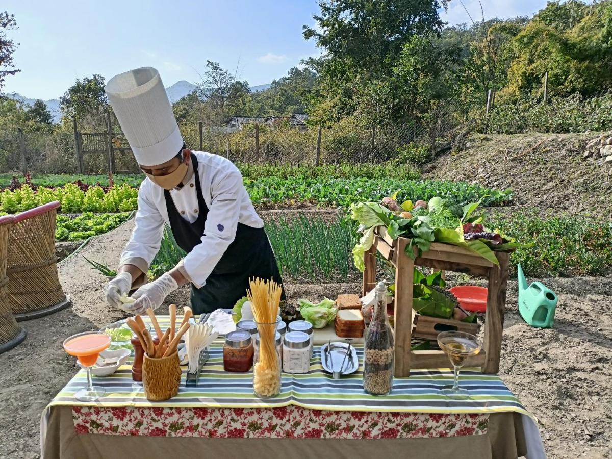 Patlidun Safari Lodge Garjia Dış mekan fotoğraf